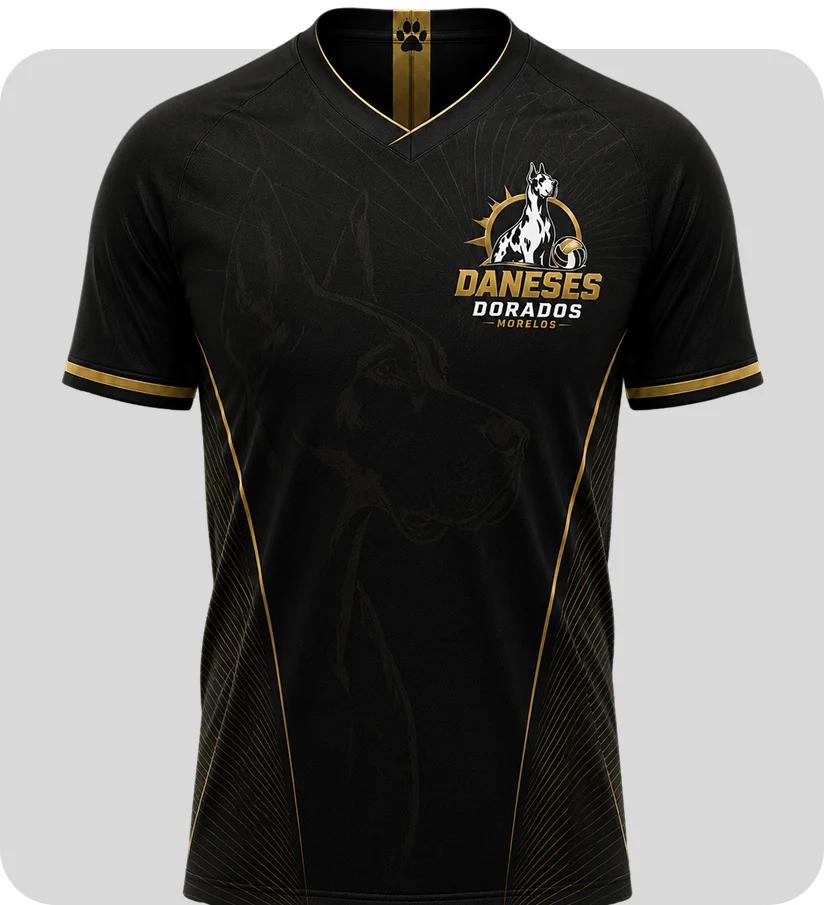 Jersey Daneses Dorados